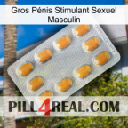 Gros Pénis Stimulant Sexuel Masculin cialis3